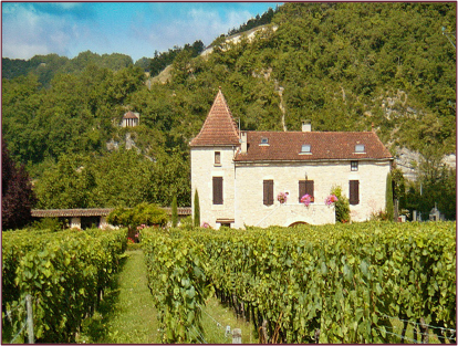 Malbec vineyard in Cahors, Southwest France