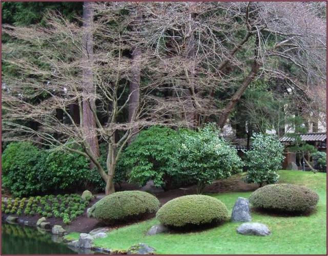 pruned mounds in Japanese Garden